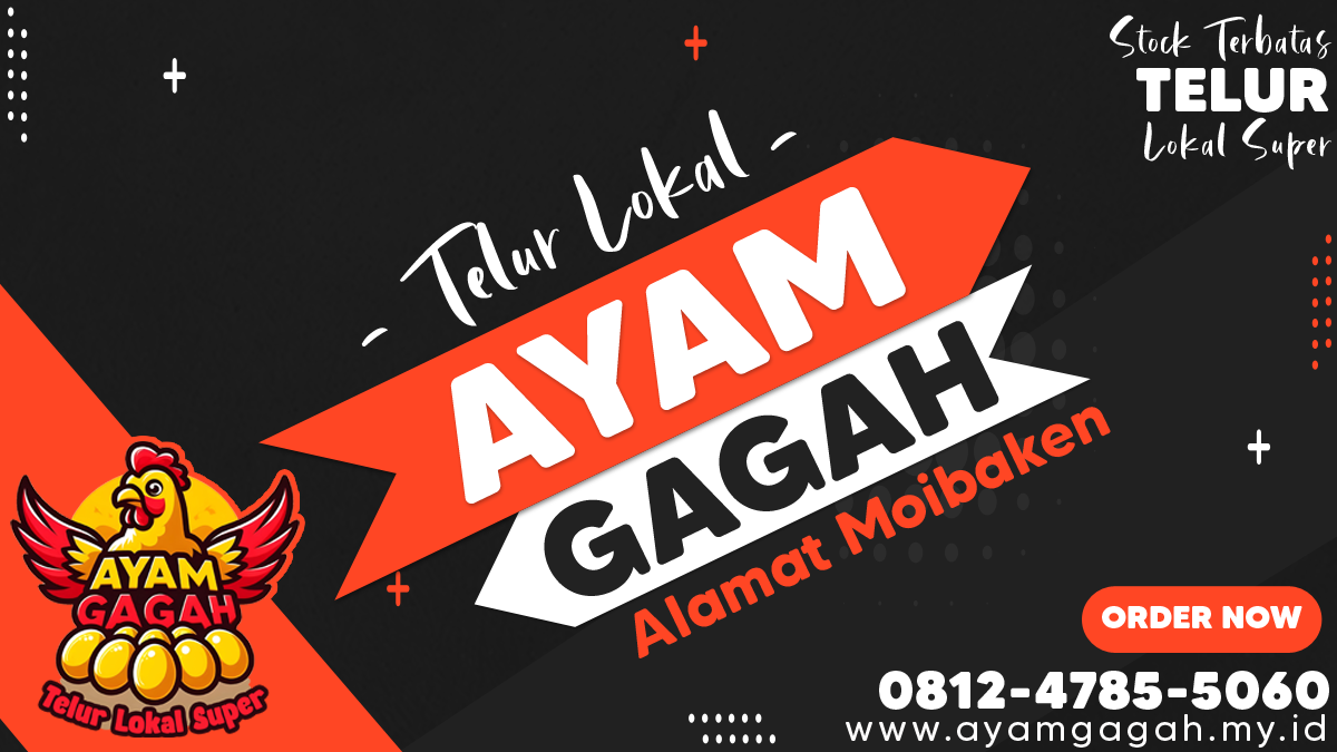 TELUR LOKAL SUPER JUMBO